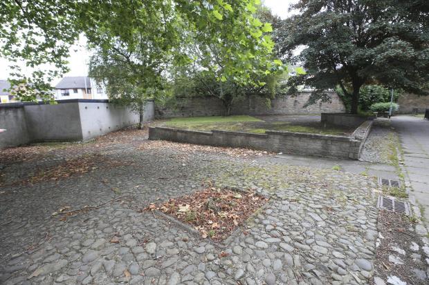 Glasgow Times: Fallen leaves in Wyndford Estate