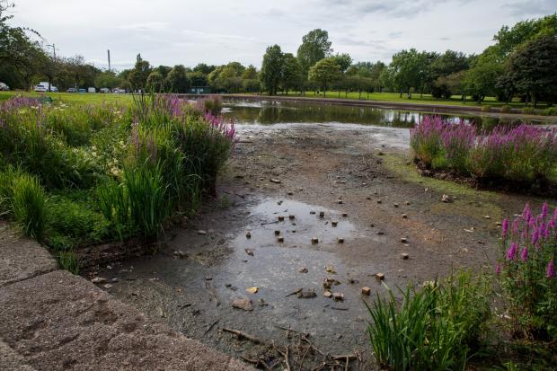 Glasgow Times: Knightswood Park Pond