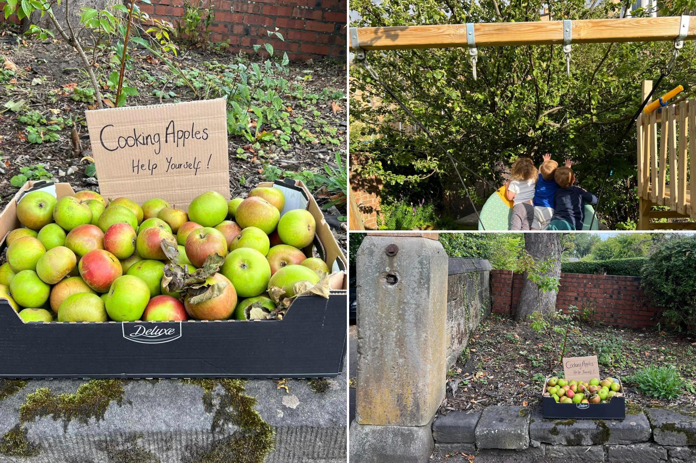 Glasgow family puts out surplus apples for community - Vimarsana News
