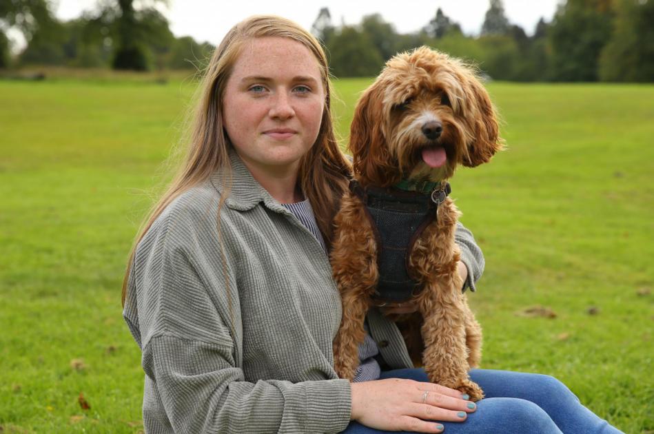 East Renfrewshire woman wants disposable vapes banned after pulling them out dog's mouth