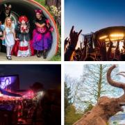 Mad Hatter's Tea Party, TRNSMT, Barras Food Trucks and Ice Age