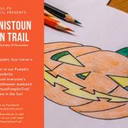 Pumpkin trail image