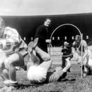 The Hoops being put through their paces...Pic: Herald and Times