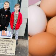 ‘Heartwarming’: Glasgow boys, 10, launch egg selling fundraiser for charities supporting grandparents