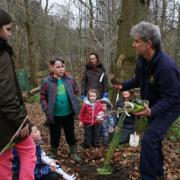 Picture taken by Colin Mearns at a Friends of Linn Park and W.I.L.D. Woodland Learning volunteer event in 2021