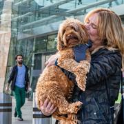 Major Glasgow shopping centre now welcomes dogs