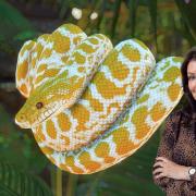Dear Janice:  I discovered snakes in my date’s spare bedroom