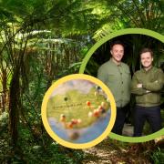 As you watch from the comforts of your couch, here is where the I'm A Celeb campmates are living...less comfortably. (Canva/ ITV)