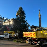 Christmas tree goes up on George Square