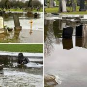 Warning after 'terrible' flooding at Glasgow cemetery