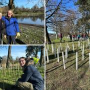'This is a big win': Volunteers plant 750 shrubs in Glasgow park