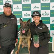PC Fulton and PD Ben with Sergeant Iain McAlpine who nominated the pair