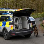Dog units pictured at popular park as cops provide update in 'ongoing investigation'