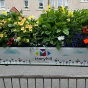 Glasgow housing association issues warning after damaged planter