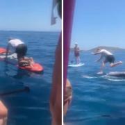 'Yellow card, some dive!': Celtic hero's hilarious attempt at paddle boarding