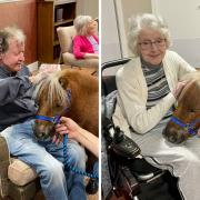 Residents at Four Hills care home with ponies