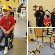 'Emotional': Young animal lover treated to special day at Dogs Trust