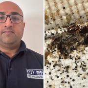 Yaser Rashid of City Pest Solutions in Glasgow has seen a 'jump' in bedbug cases