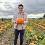 I went Pumpkin picking in Renfrew and here's what I thought