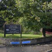 Police reveal plans to ramp up patrols after 'poison left maliciously' in city park