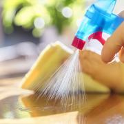 The community Facebook group 'Mrs Hinch Cleaning Tips' is a popular source for cleaning fanatics across the country.