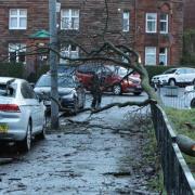 Hundreds of trees brought down by recent storms in Glasgow