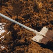 Generic image of shovel
