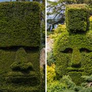 Dalmeny is home to a peculiar trio of hedges shaped like massive heads