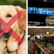 Wetherspoons bans dogs from ALL of its pubs