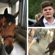 Police video of the moment that Scott Spurling punched police horse Quantock. See SWNS story SWHORSE; A man punched a police HORSE in the head after the England vs Croatia World Cup semi-final match, a court heard. Scott Spurling, 23, lashed out at the