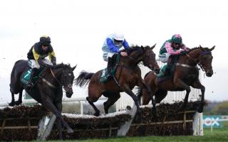 Nineteen animal rights campaigners accused of trying to stop the Scottish Grand National from taking place are to stand trial in September.