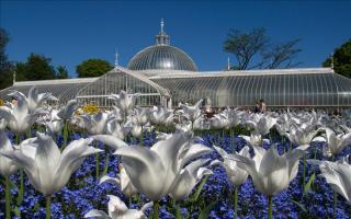 Glasgow Botanic Gardens claim prestigious award for 13th year