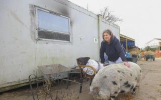 Community farm facing closure after 47 years amid spiralling costs