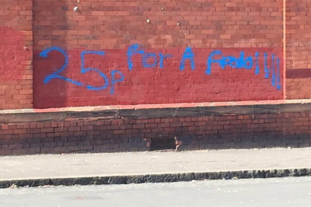 3873945.jpg